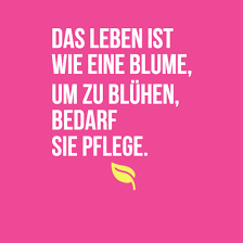 Zitat